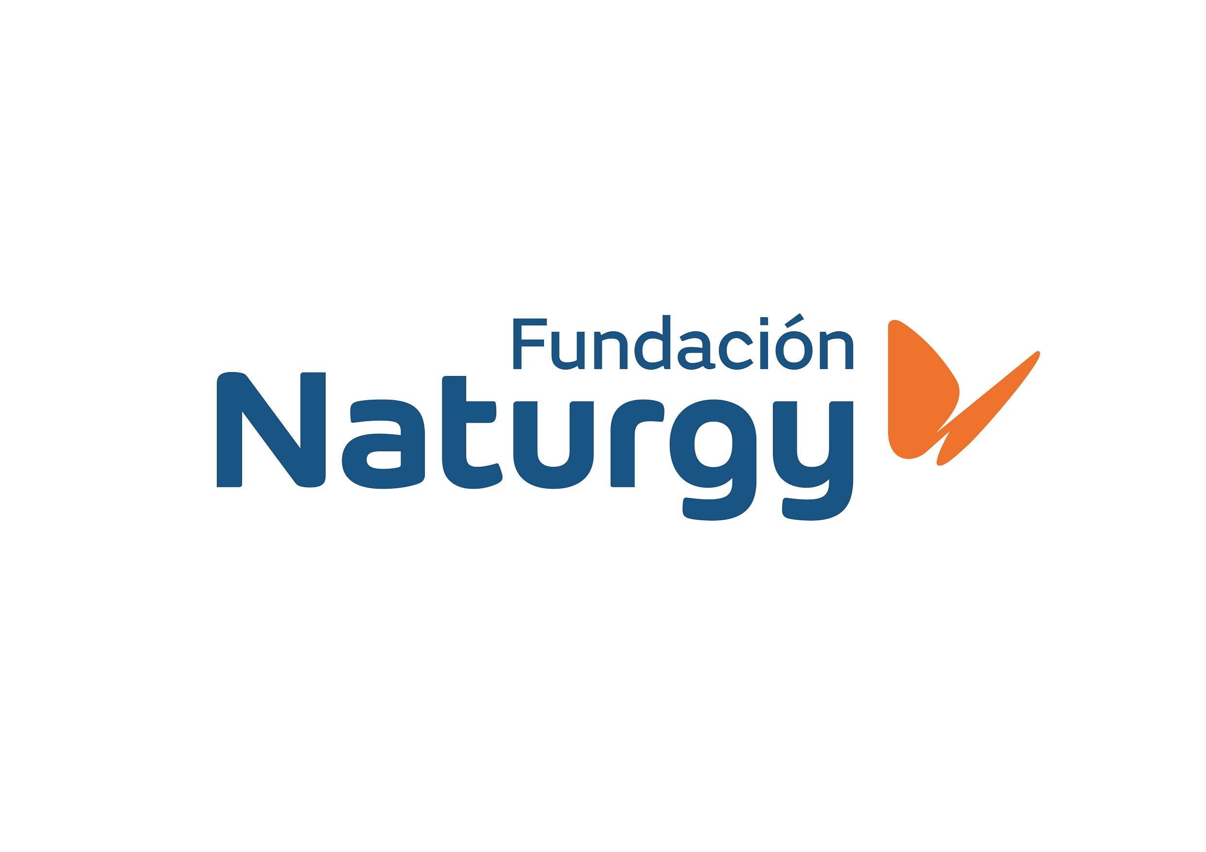 Fundación Naturgy